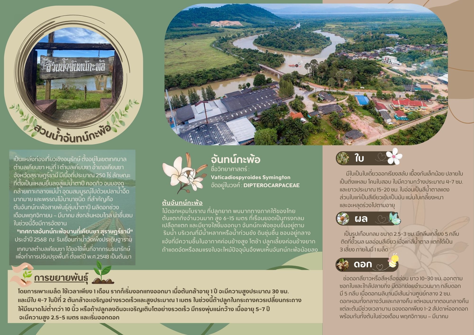ประชาสัมพันธ์แนะนำสถานที่ท่องเที่ยวในท้องถิ่น